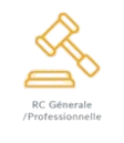 RC Professionnelle